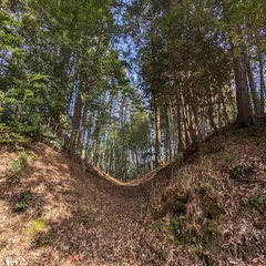 下山城