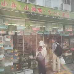 関和鳥獣店