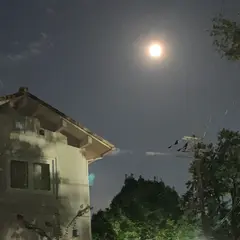 南の杜公園