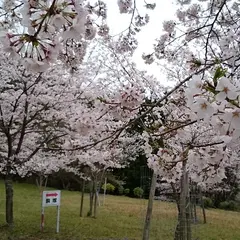 北畠史跡公園