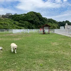 志津摩光る海ドッグラン