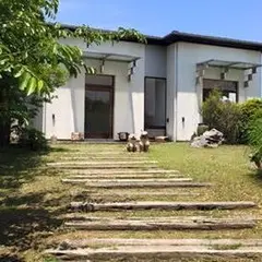 櫻櫻