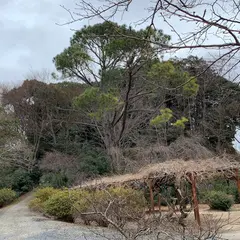 窪江城