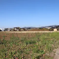 三ッ橋城跡（睦美城跡）