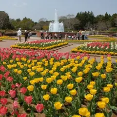 茨城県民の森