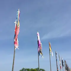 遠賀川 鯉のぼりまつり