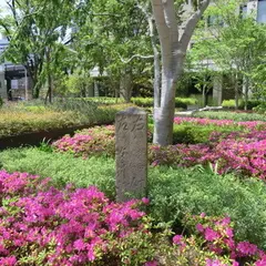 グタイピナコテカ跡