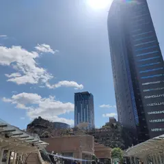 なんばパークスタワー