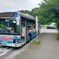 観音崎（バス）