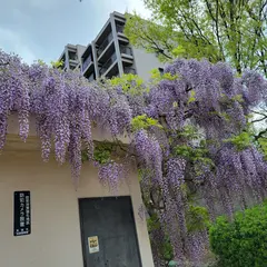 小野原南４号公園