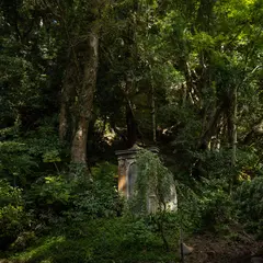 高滝神社の森