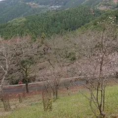 鬼石