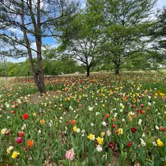 見晴らしの丘