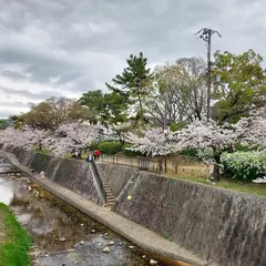 夙川公園
