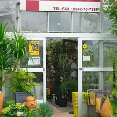 花伝