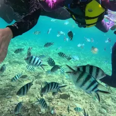 CHILL DIVE