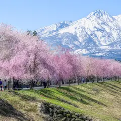 はねうま公園