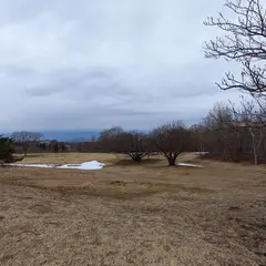 蔵王坊平公園道路