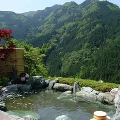 新祖谷温泉 ホテルかずら橋