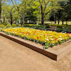 城山公園 南側駐車場