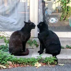 昭和ビル