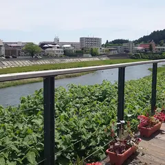 青葉山公園駐車場（追廻）