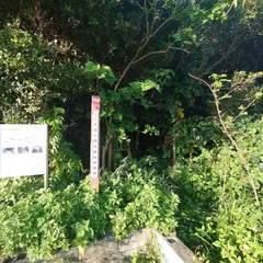 大浜の特攻艇秘匿壕群