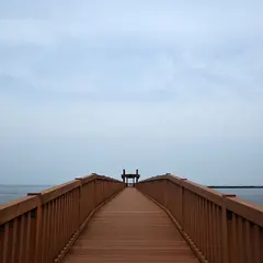 夕凪の橋