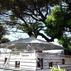 Cafe Madu ENOSHIMA