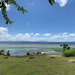 猪苗代 白鳥浜