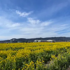 菜な畑ロード
