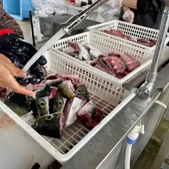 さばきや おとちゃん