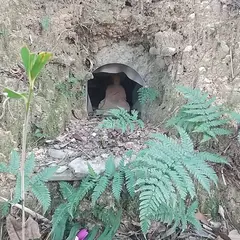 佐久島弘法十番札所
