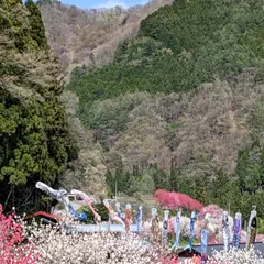 花桃の里 臨時駐車場