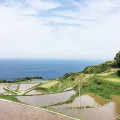 東後畑棚田