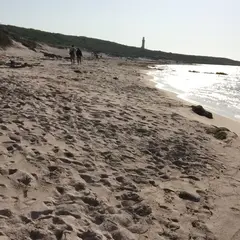 つのしま自然館