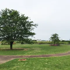 三里塚さくらの丘