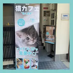 【猫カフェ】ねこほす 心斎橋店