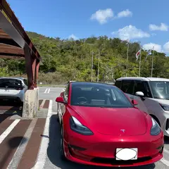 テスラ車専門レンタカー ライトマークスEVレンタル