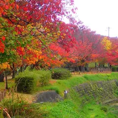 有馬川緑道 起点