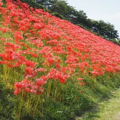 南足柄市運動公園