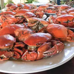 สวัสดีแครป Sawasdeecrab