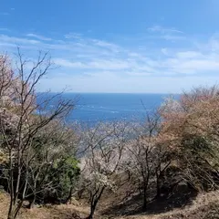 鬼の見晴らし台