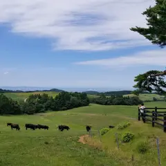 月山高原展望台