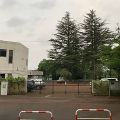 明治大学内海・島岡ボールパーク