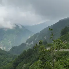 白山白川郷ホワイトロード
