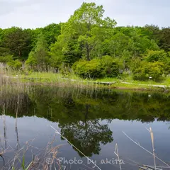 湿地園｜ エンゼルフォレスト白河高原