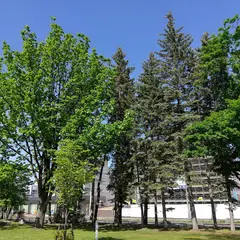 帯広中央公園
