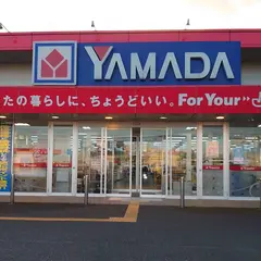 ヤマダデンキ テックランド八街店
