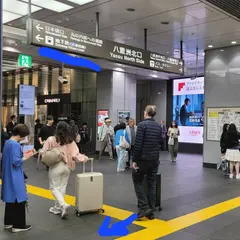ムレスナティー東京駅店（ギフトパレット）